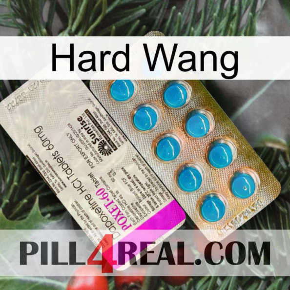 Hard Wang new07.jpg